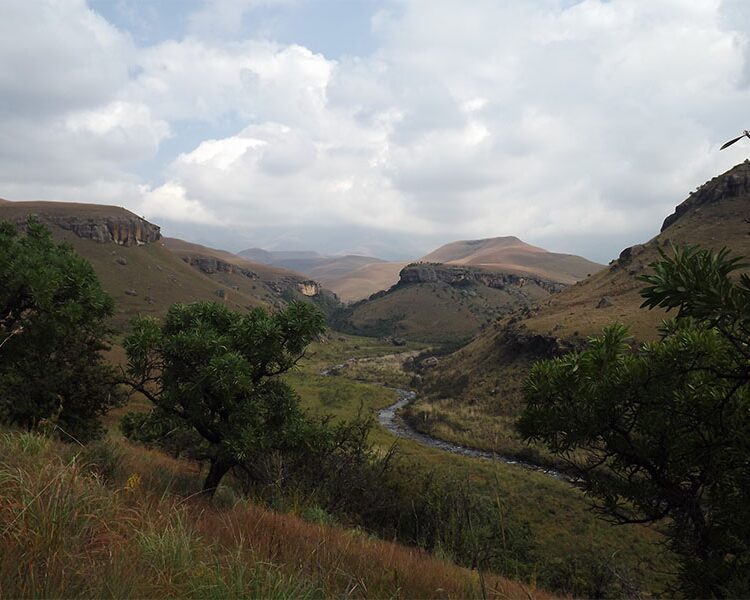 Drakensburg Giants Castle (San Art) + Mandela Capture Site (2)