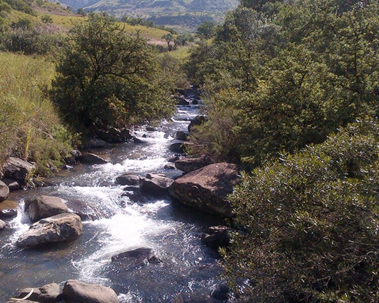 Drakensburg Giants Castle (San Art) + Mandela Capture Site (3)