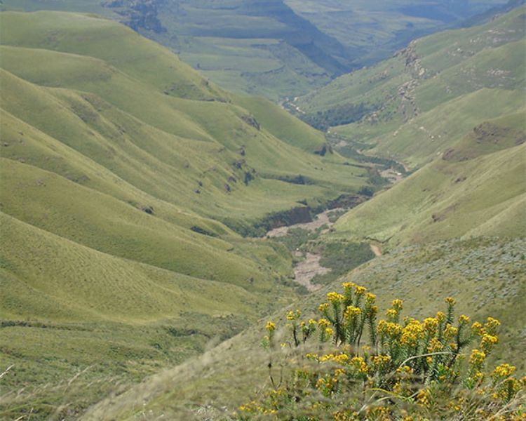 Drakensburg Sani Pass (Lesotho) (3)