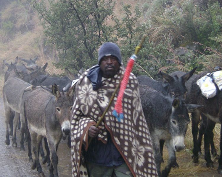 Drakensburg Sani Pass (Lesotho) (4)