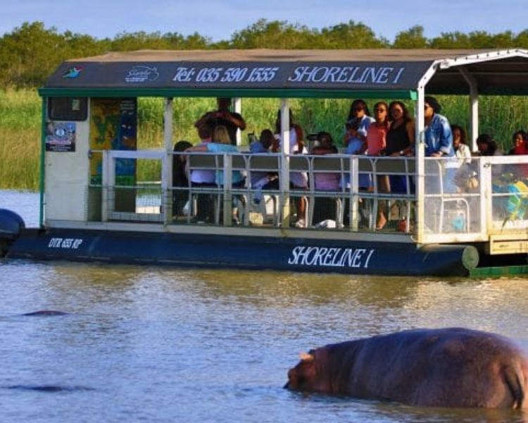 Hluhluwe Game Drive (Open Vehicle, 4x4) (4)