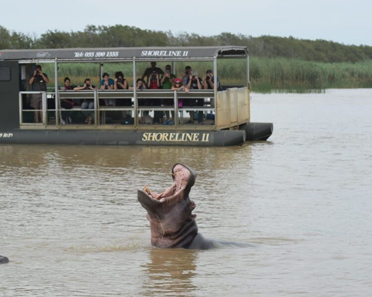 St Lucia Isimangaliso Wetlands Park (1)