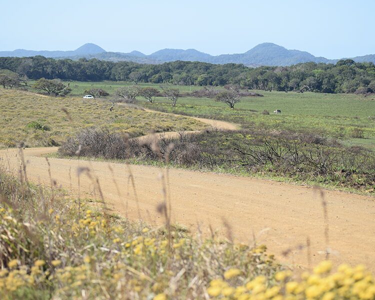 St Lucia / Isimangaliso Wetlands Park King Shaka Golf Tours